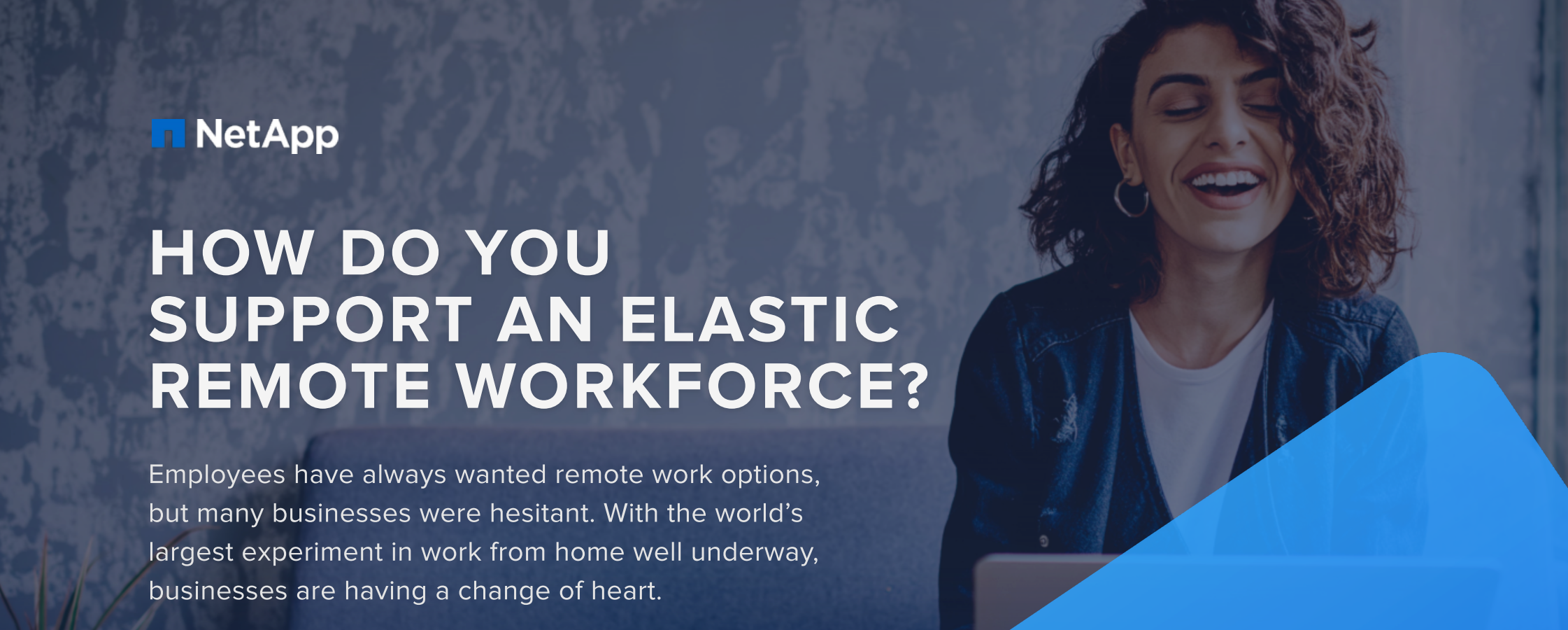 elastric remote workforce netapp